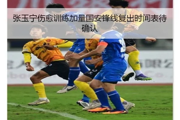 张玉宁伤愈训练加量国安锋线复出时间表待确认（BandaoSports）