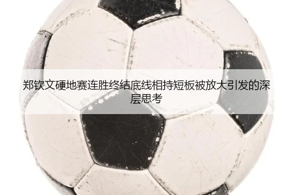 郑钦文硬地赛连胜终结底线相持短板被放大引发的深层思考（BandaoSports）